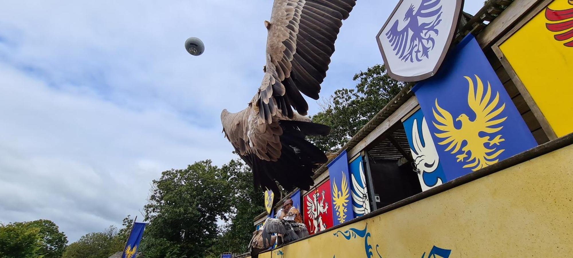 Studio Le Pavachon, Piscine Familiale Chauffee - A 3 Min Du Puy Du Fou Les Épesses Zewnętrze zdjęcie